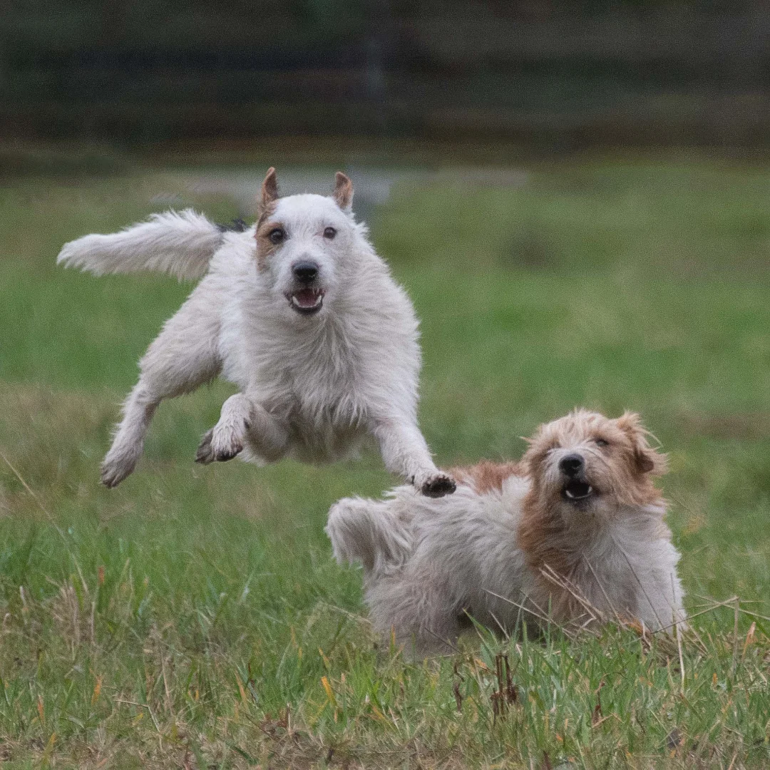 Wenn man hinter seinen Möglichkeiten bleibt